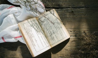 桃夭原文及翻译 桃夭原文是什么