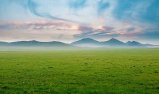 南风知我意什么意思 南风知我意的意思