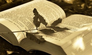 临床医学专业学什么 临床医学专业学习内容