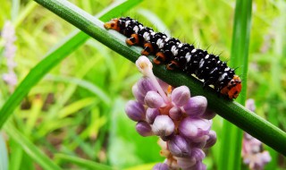 树叶和树根告诉我们一个什么道理 树叶和树根的道理