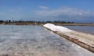 什么是正盐 正盐介绍