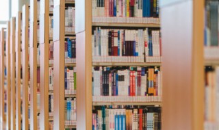 白坯是什么意思 白坯意思是什么