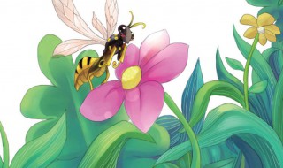 昆虫记的作者是谁 昆虫记的作者简介