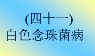 白色念珠菌是什么意思 白色念珠菌对人体有什么危害