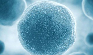 中心体有膜吗 中心体简单介绍