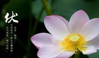 2021头伏是哪一天 入伏是什么意思