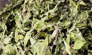 薄荷健康热量准吗 薄荷健康热量高吗