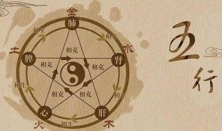 鸡五行属什么 五行是什么