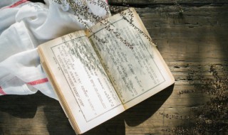 蒹葭原文拼音版 蒹葭的译文