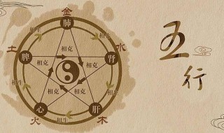 狗五行属什么 属狗人五行是什么