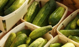 老黄瓜怎样储存 老黄瓜储存方法