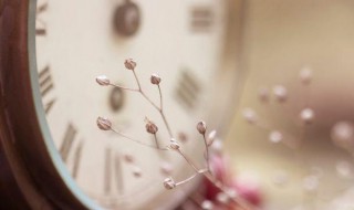 关于流年的唯美句子 关于流年的唯美句子简单介绍