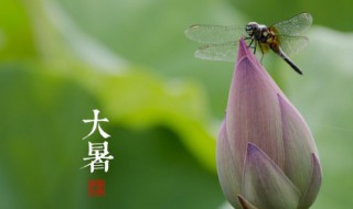 大暑节气由来习俗 大暑节气由来习俗是什么