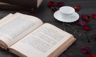 奶思什么意思 奶思解释