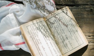 鞭挞是什么意思 鞭挞的意思