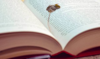 元日意思 元日古诗翻译