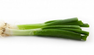 葱怎样储存不坏 大葱保存方法怎样不烂