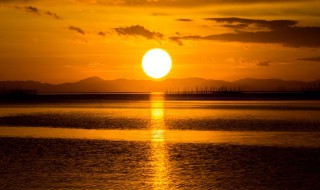 朝阳的意思 朝阳是什么意思