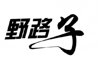 野路子是什么意思 野路子指的是什么