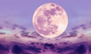 月夜忆舍弟杜甫原文翻译及赏析 关于月夜忆舍弟杜甫原文翻译及赏析