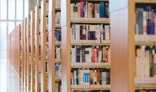 王维山居秋暝原文注释翻译与赏析 王维山居秋暝原文是什么