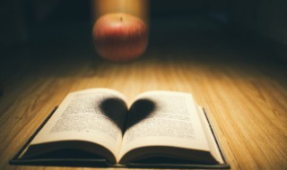 不悔梦归处什么意思 不悔梦归处的含义