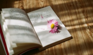 比目是什么意思 比目的含义