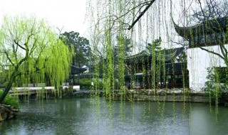 春天的特点有哪些 春天介绍