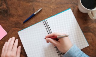 解数是什么意思 解数的解释