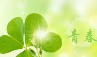 珍惜青春的名言 珍惜青春的名言名句