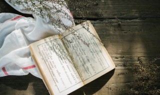 你再不来我要下雪了什么意思 你再不来我要下雪了出处介绍