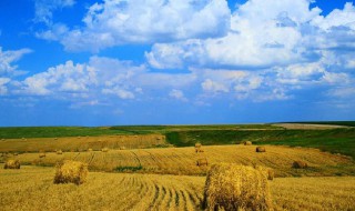 天高云淡是什么季节 天高云淡词语介绍