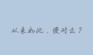 从来如此便对么什么意思 从来如此便对么原文