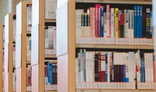 牛马语录 牛马语录有哪些