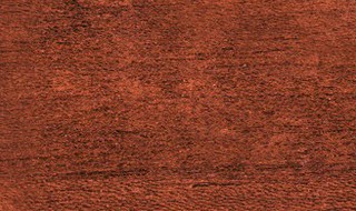 紫色加绿色是什么颜色 紫色加绿色的颜色