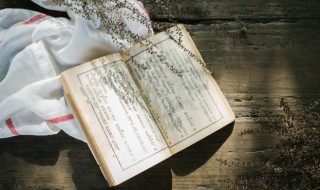 以其无礼于晋且贰于楚也翻译 以其无礼于晋且贰于楚也原文是什么