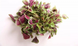 凉拌苋菜怎么做好吃 制作凉拌苋菜的方法