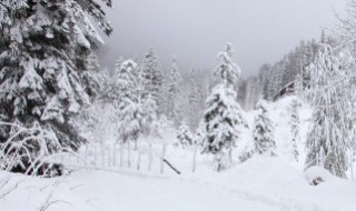 立雪求道是什么意思 立雪求道的意思