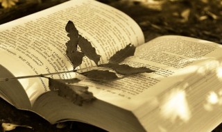 第四天灾是什么梗 第四天灾梗解释