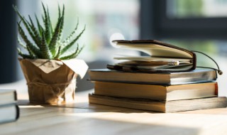 盆栽芦荟养殖方法 如何养殖芦荟