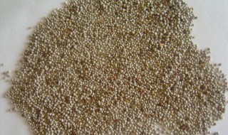 白苏子的食用方法 如何食用白苏子