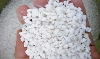 珍珠岩种花使用方法 珍珠岩如何使用