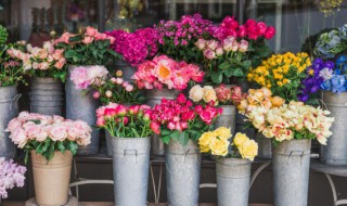 醒花方法 醒花方法介绍