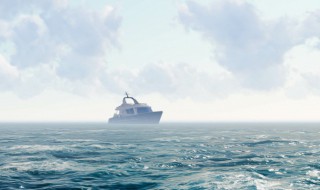 关于海啸的资料 海啸的简介