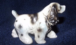 DOG是什么币 DOG币介绍