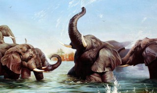 梦见大象追我是什么意思 梦见大象追我的意思介绍