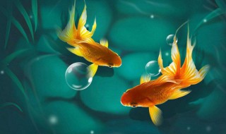 梦见钩到鱼什么意思 梦见钩到鱼的意思解析