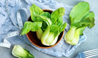 适合阴暗处生长的蔬菜 哪些蔬菜适合阴暗处生长