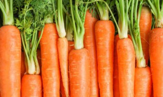 胡萝卜包子馅怎么做好吃 胡萝卜包子馅如何做好吃