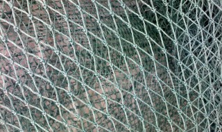 罗网是什么意思 罗网到底是什么意思